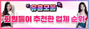 유흥모음 - AV코걸